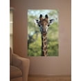 thumbnail image 2 of Boer Giraffe II Wall Decal, 2 of 2