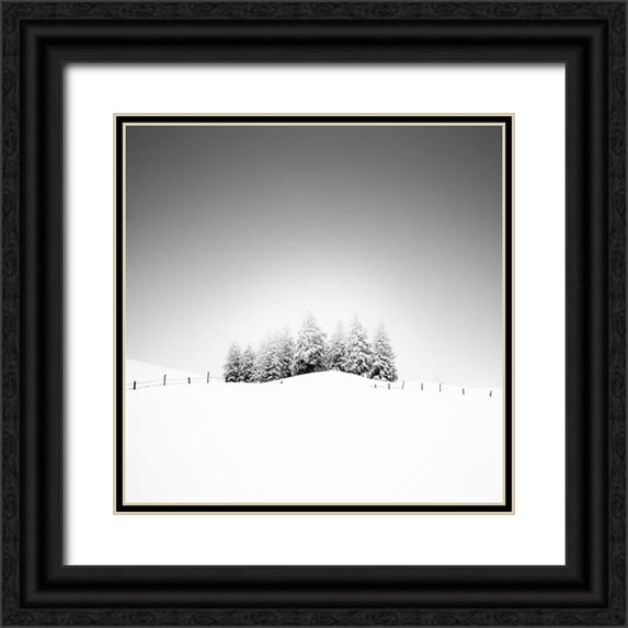 Schulz, Alexej 26x26 Black Ornate Wood Framed with Double Matting Museum Art Print Titled - Cohesion