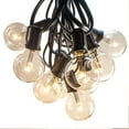 thumbnail image 2 of G40 LED Warm White String Lights with Black Wire, 2 of 7