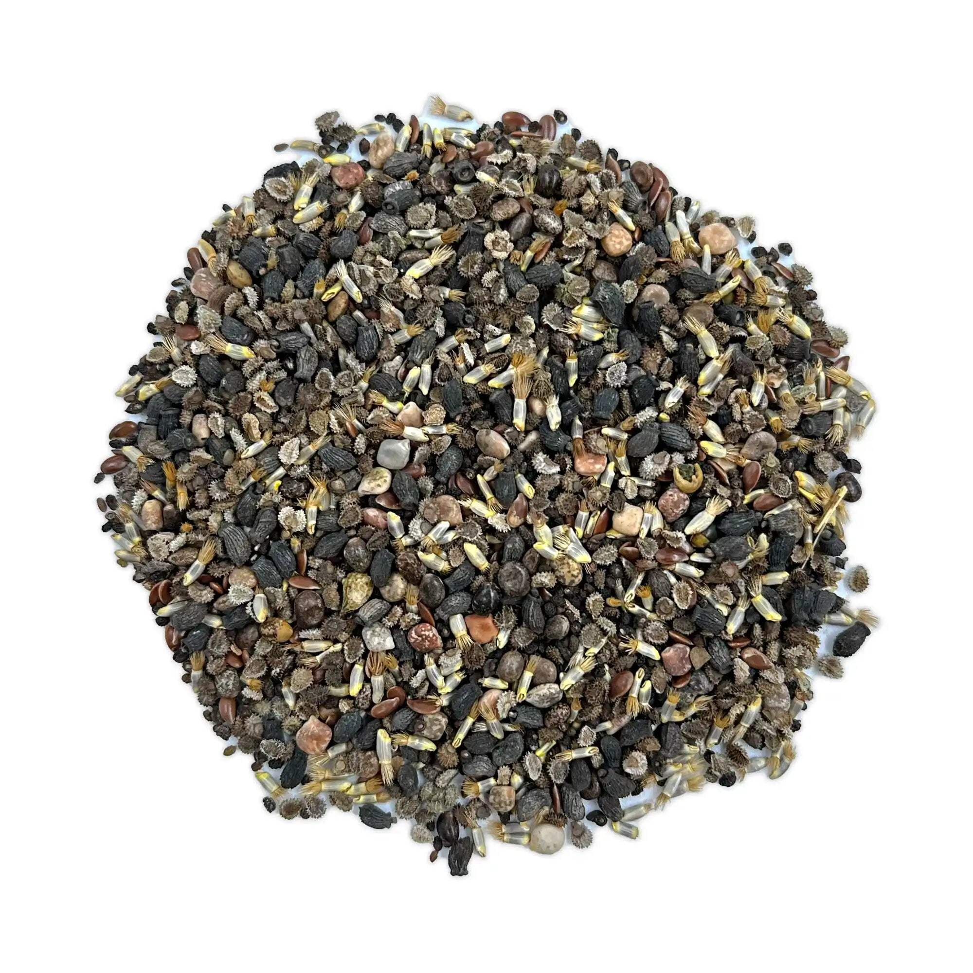 Ferry-Morse Blue Mix Bulk Wildflower Seeds, 1lb