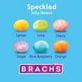 thumbnail image 2 of Brach's Speckled Jelly Beans, Springtime Easter Candy, 7oz, 2 of 6