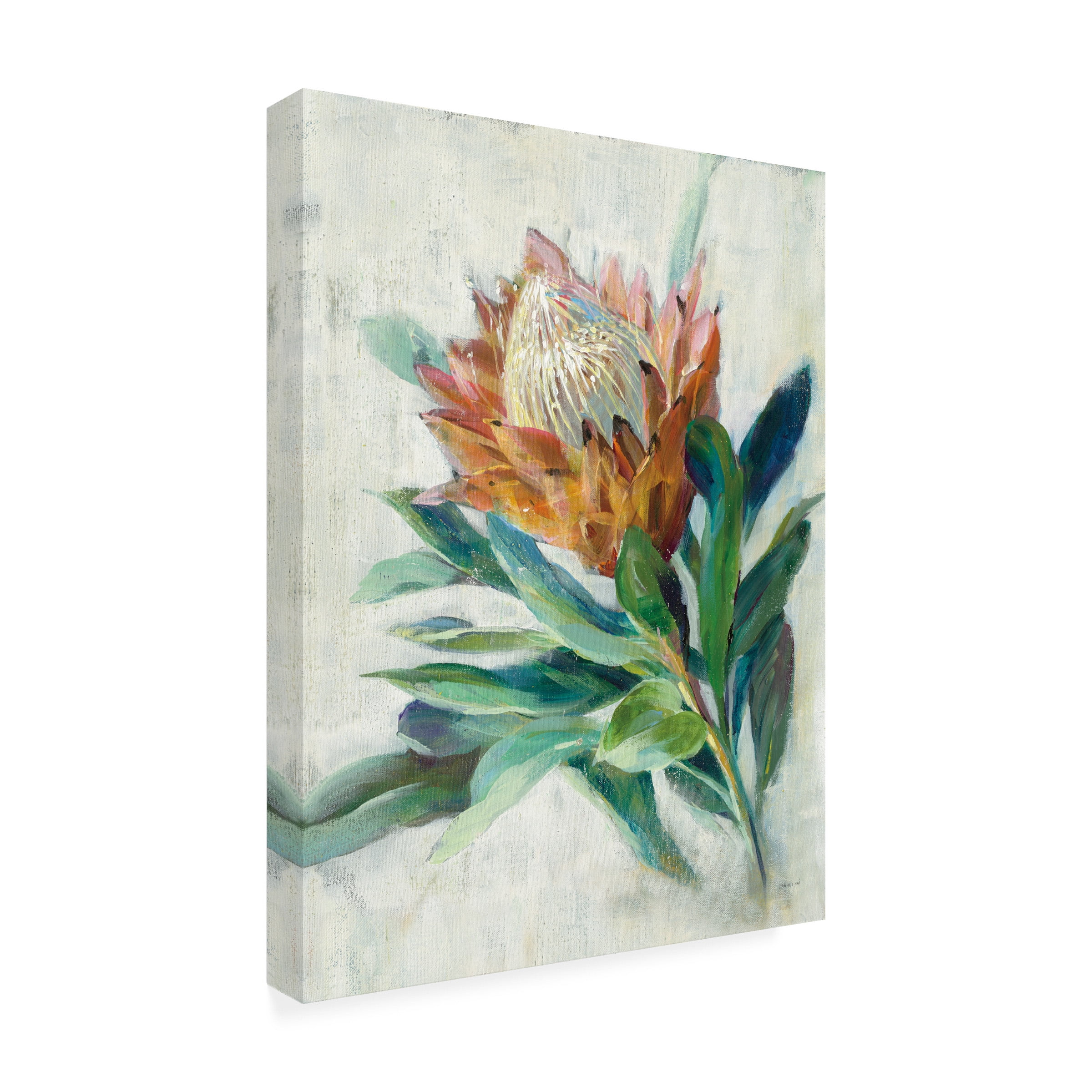 Danhui Nai 'Protea' Canvas Art