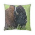 thumbnail image 2 of Ahgly Company Animals Bison Coussin d'Intérieur, 18 Pouces par 18 Pouces, 2 of 6