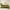 Green, variant on Anuirheih Couch Covers Sofa Slipcovers, for Dogs Cats Pet Chenille Fabric Couch Cover for Living Room Furniture Protector(27.6x27.6inch,Green)