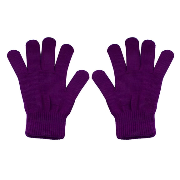 TELOLY 1 Pair Winter Magic Gloves Warm Stretchy Knit Gloves for Men Women (Purple)