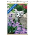 thumbnail image 3 of Keith Kimberlin - Kitten - Stones and Flowers Wall Poster with Wooden Magnetic Frame, 22.375" x 34", 3 of 3