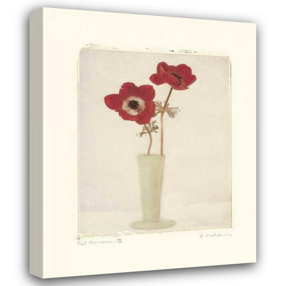 Amy Melious 28x35 Gallery Wrapped Canvas Wall Art Titled - Red Anemones II