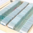 thumbnail image 4 of AmScope PS100A Prepared Microscope Slide Set for Basic Biological Science Education, 100 Slides, Set A, Includes Fitted Wooden Case, 4 of 4