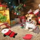 thumbnail image 3 of 4 Uds. Juguete de Navidad para Perro, Papá Noel, Juguete Divertido y Creativo para Perro, Juguete de Cuerda para Mascotas, 3 of 7