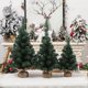 thumbnail image 4 of 40 CM 50 CM 60 CM PVC Artificial Mini Decoraciones para árboles de Navidad Festival Adorno de escritorio para el hogar Fiesta de Navidad Decoración interior, 4 of 4