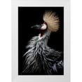 thumbnail image 1 of Itoyama, Eiji 13x18 White Modern Wood Framed Museum Art Print Titled - Crowned cranes portrait, 1 of 4