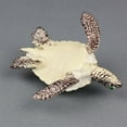 thumbnail image 3 of GOOHOCHY High Simulation Sea Turtle Animal Model Marine Organism Decoration for Children Playing (Green), 3 of 8