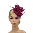 thumbnail image 2 of Clearance! Fdelink Handmade Women Hair Clip Feather Wedding Casual Fascinator Headpieces the Band, 2 of 7