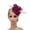 Wine, variant on AKEGAMN Wedding Casual Clip Women Hair Fascinator Headband, Purple One Size
