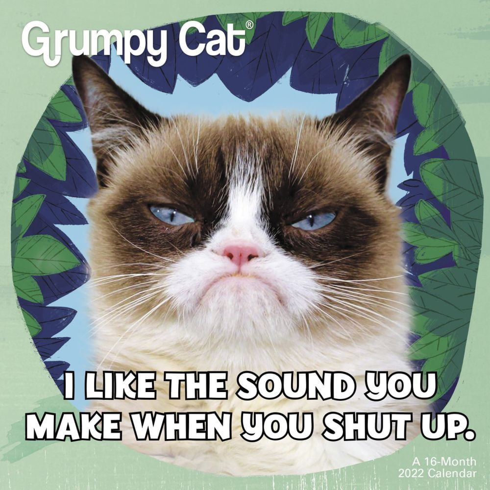 Grumpy Cat 2022 Mini Wall Calendar - Walmart.com