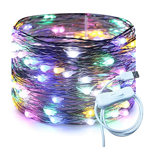 RUICHEN USB Fairy Lights 33 Ft 100 LED Firefly String Lights with ON