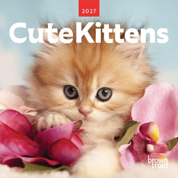 Cute Kittens | 2027 7x14" (Hanging) Mini Wall Calendar | BrownTrout