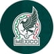 thumbnail image 2 of Cubrebocas Con Antifaz Mexico Selección Mexicana JILTEX Cubrebocas con antifaz Selección Mexicana, 2 of 4