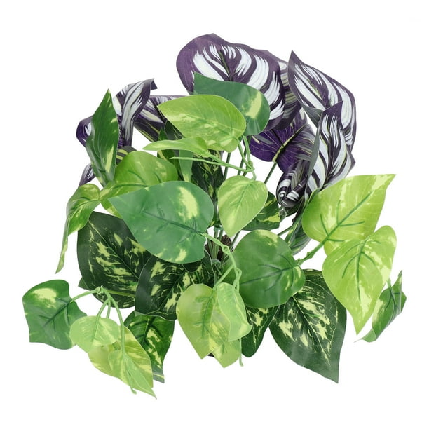 Aquarium Water Plant Ornament, Fish Decoration Plant Rinsed Cleaning