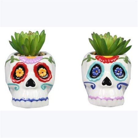 Youngs 82387 Ceramic Skeleton Succulent Planter  Assorted Color - 2 Piece