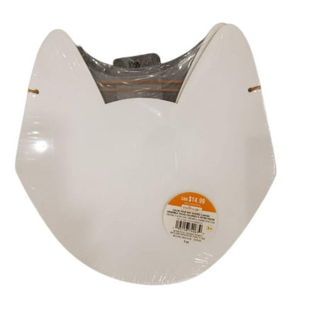 Creatology Halloween Shaped Canvas Craft Kit