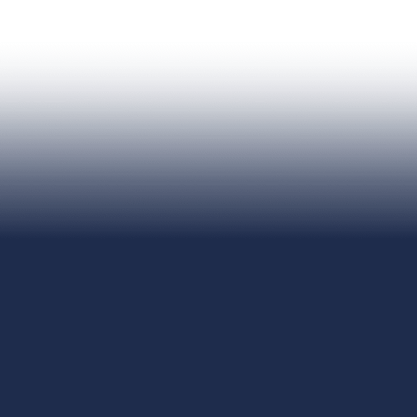 Navy/White