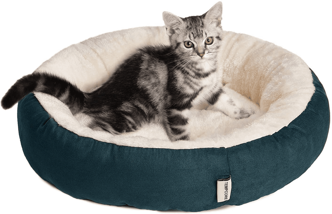 high beds for cats