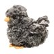 thumbnail image 1 of Peluche Douglas Black Multi Chick Douglas Douglas, 1 of 2