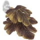 thumbnail image 1 of Tierra de desove de Betta, hoja de pez Betta, cama de descanso para cría de Betta para pecera, 1 of 6