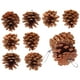 thumbnail image 5 of 10 Uds. Juguetes para masticar loros, juguetes colgantes para buscar comida, cono de pino rasgado para loros, 5 of 8