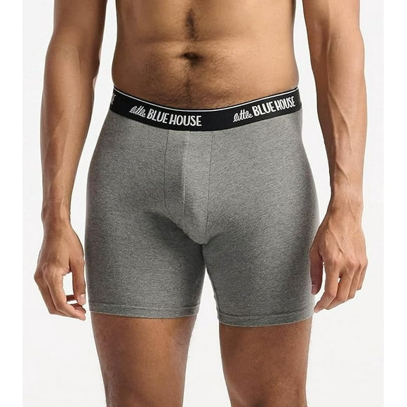 Little Blue House Men's Funny Boxer Briefs, Medium