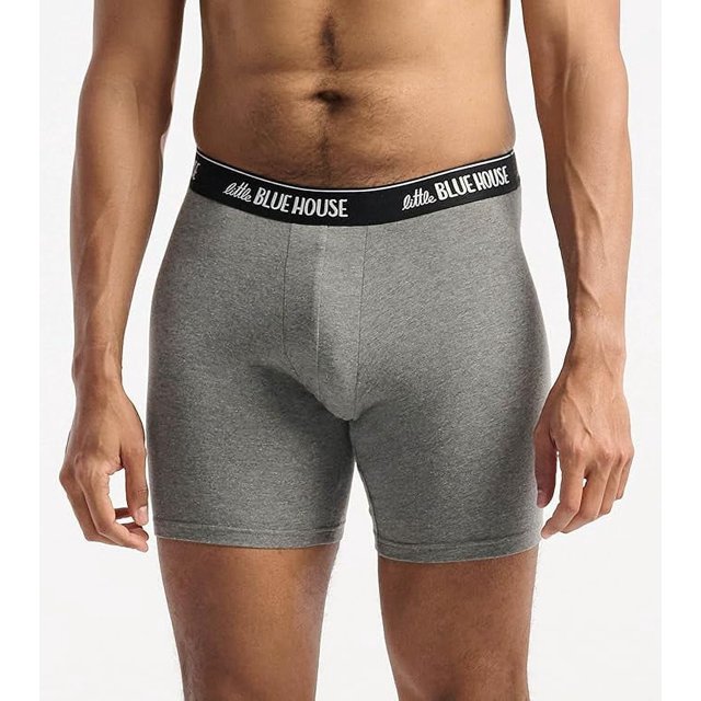 Little Blue House Men's Funny Boxer Briefs, Large