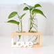 thumbnail image 2 of Contenedor ónico de escritorio con soporte de , secas, ón de , ón de brotes para el Madera Sunnimix florero, 2 of 8