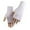 Womens Gloves Purple, variant on Fingerless Gloves for Women Winter Casual Solid Thermal Warm Mittens Stretchy Thumbhole Wristbands