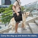 thumbnail image 2 of Dog Carry Sling, Emergency Backpack Pet Legs Support Rehabilitation Dog (black) Lift Harness For N, 2 of 5