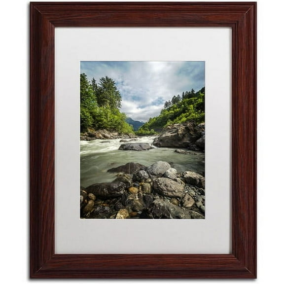 Trademark Fine Art "Waterland" Canvas Art by Philippe Sainte-Laudy, White Matte, Wood Frame