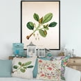 thumbnail image 2 of Designart 'Ancient London Plants I' Farmhouse Framed Canvas Wall Art Print, 2 of 5