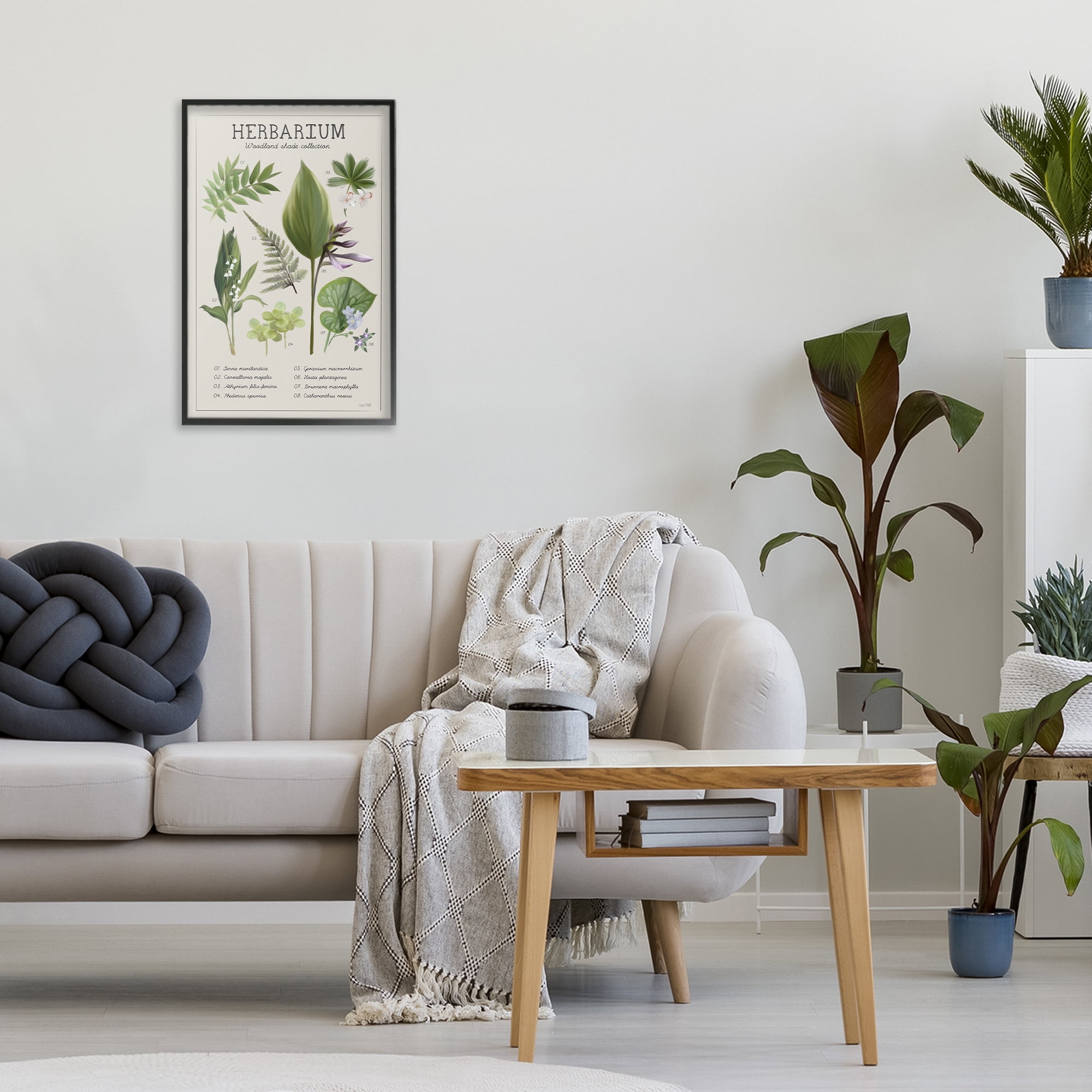 Stupell Industries Herbarium Woodland Shade Collection Black Framed Giclee Art, design by House Fenway
