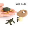 thumbnail image 4 of Vogacara Juguete de crecimiento de animales de simulación, juguetes artificiales de reconocimiento educativo, modelos de jardín de infantes para padres Juguetes Educativos Verde Tipo 1 Vogacara FN010074-01, 4 of 6
