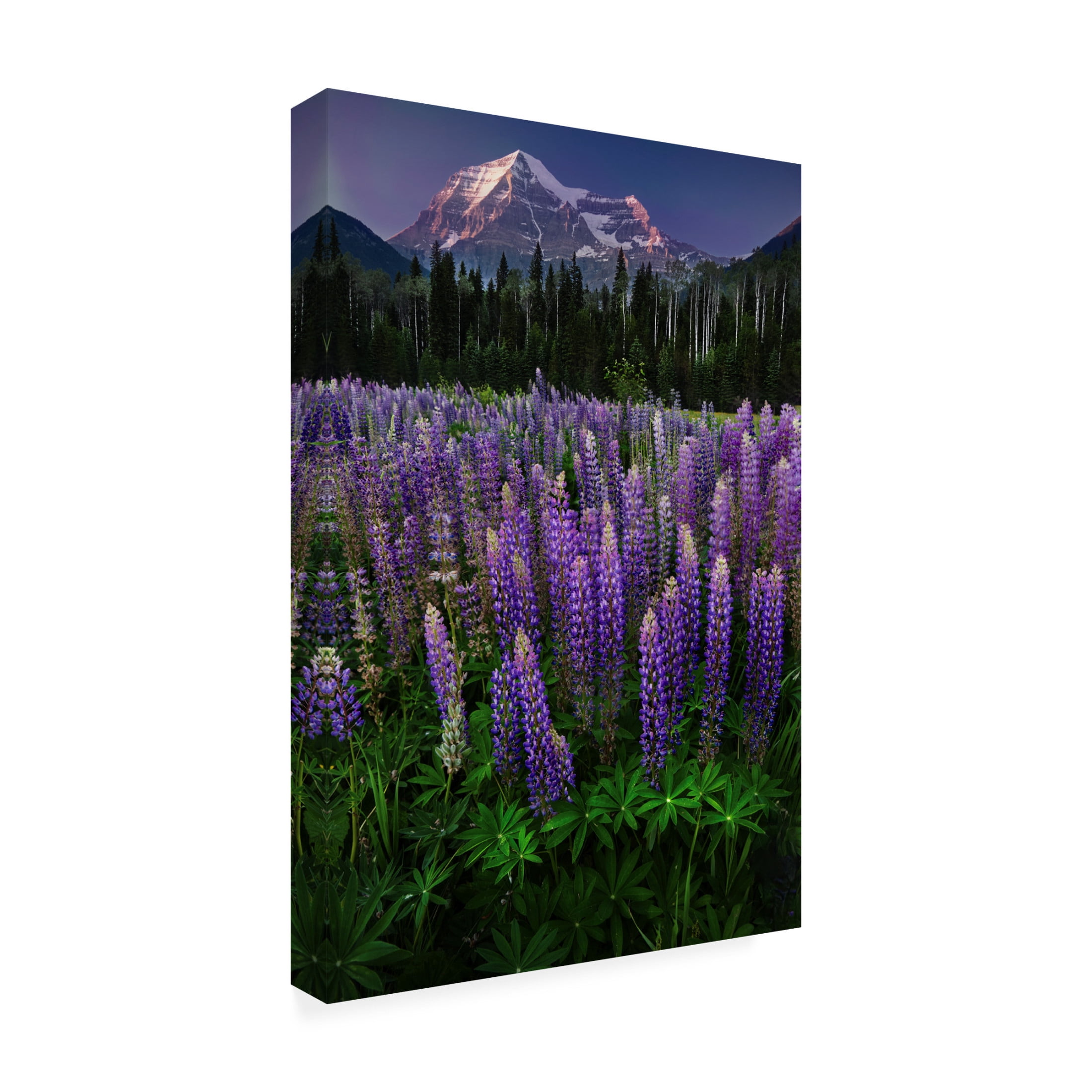 Trademark Fine Art Marina Poushkina Mt Robson Canvas Wall Art