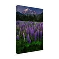 thumbnail image 4 of Trademark Fine Art Marina Poushkina Mt Robson Canvas Wall Art, 4 of 4
