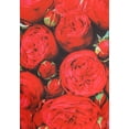 thumbnail image 4 of Bouquet de Roses Costume de Planche à Sandwich, 4 of 5