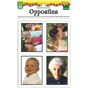 Carson Dellosa Photographic Learning Cards 845007