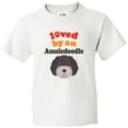 thumbnail image 3 of Inktastic Aussiedoodle Dog Gift Youth T-Shirt, 3 of 5