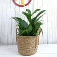 thumbnail image 2 of Cesta de flores de ratán de paja, cesta tejida creativa para el hogar, decoración para el balcón, sala de estar, maceta con plantas verdes, 2 of 5