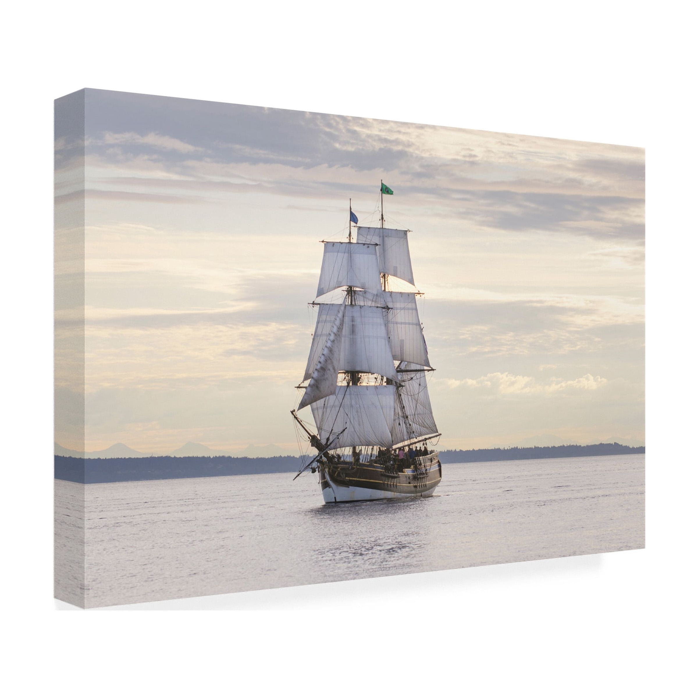 Trademark Fine Art 'Lady Washington II' Canvas Art by Alan Majchrowicz