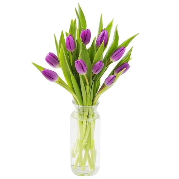 KaBloom: 10 Purple Tulips in vase, Next-Day Delivery, Gift for Every Occasion.