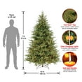 thumbnail image 5 of National Tree Company Pre-Lit 'Feel Real' Artificial Full Christmas Tree, Green, Frasier Grande, Dual Color LED Lights, Includes Stand, 7 Feet, 5 of 6