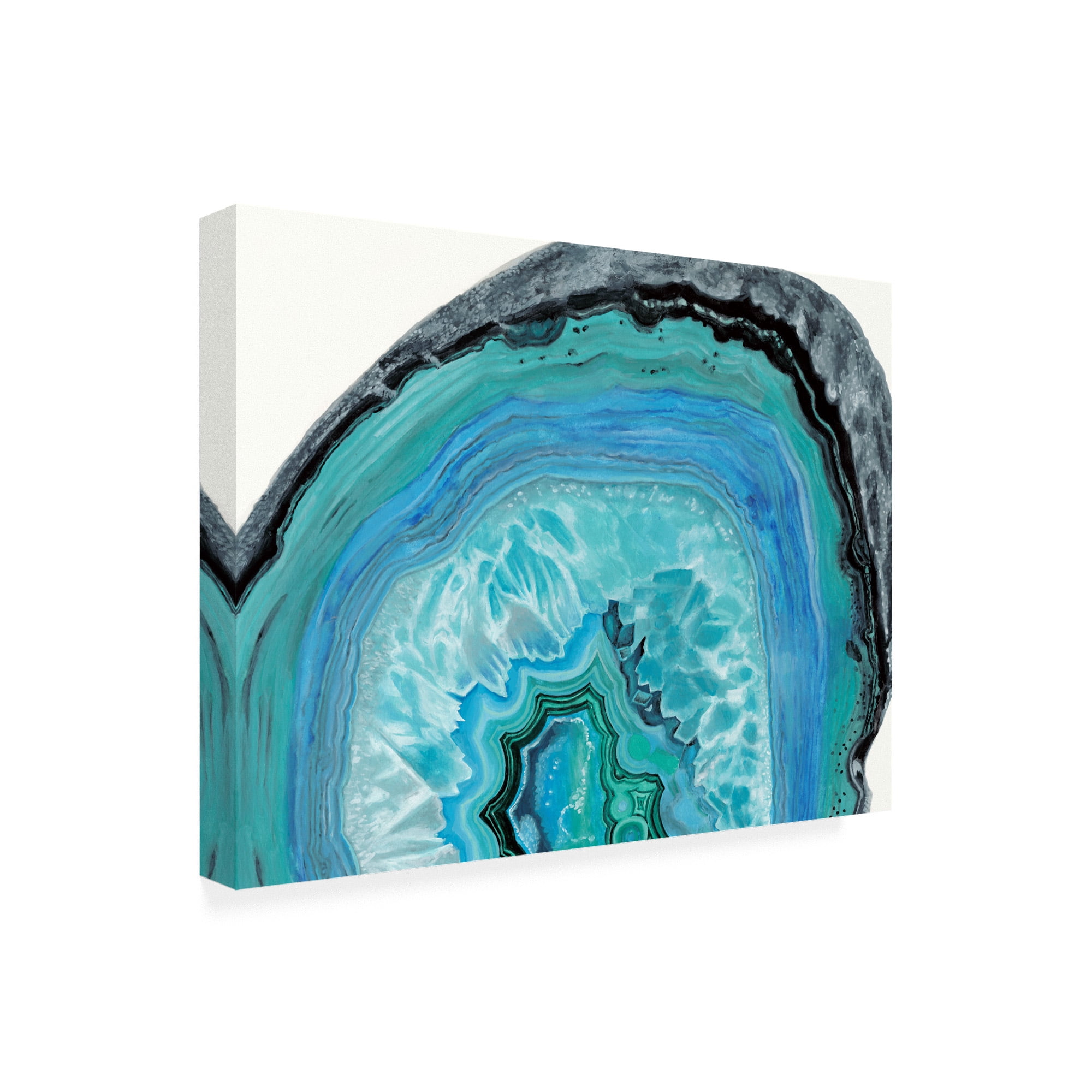 Trademark Fine Art 'Agate Studies II' Canvas Art by Naomi McCavitt