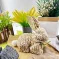 thumbnail image 4 of Qholemyo Straw Woven White Tail Bunny Figurine Easter Decor Indoor Home Table Ornaments, 4 of 6